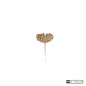 ROSE DE JERICHO ROSE DE JERICHO