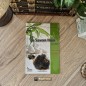 LE SAVON NOIR