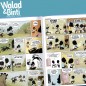 WALAD & BINTI : LE BIEN GAGNE TOUJOURS
